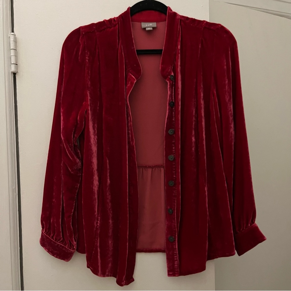 Vintage velvet top